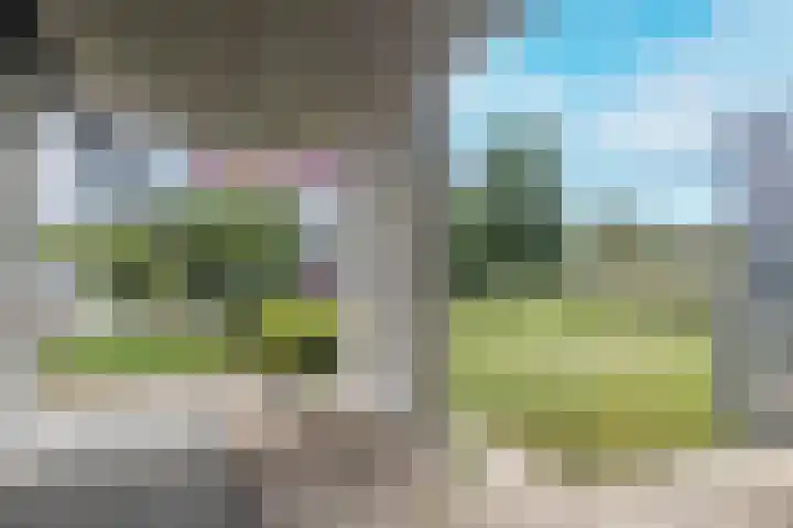 Ladogameerhof 142 Amsterdam thumbnail 24