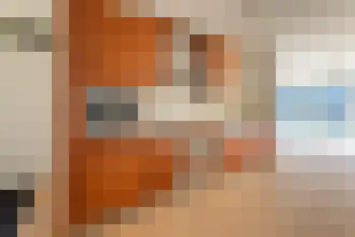 Ladogameerhof 148 Amsterdam thumbnail 10