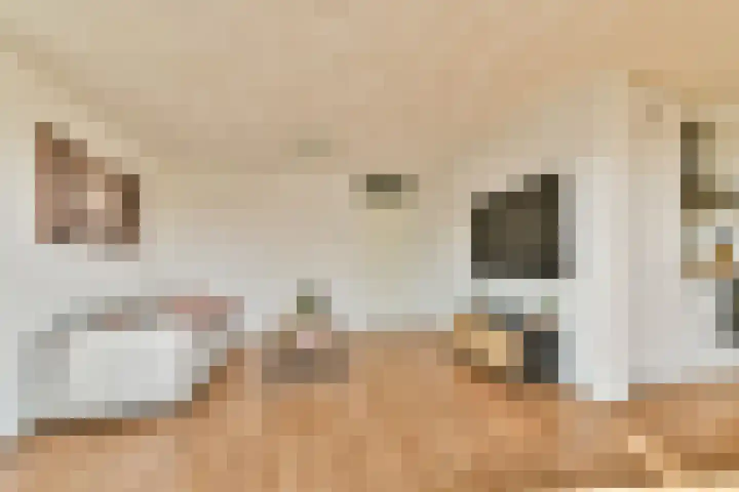 Ladogameerhof 165 Amsterdam thumbnail 12
