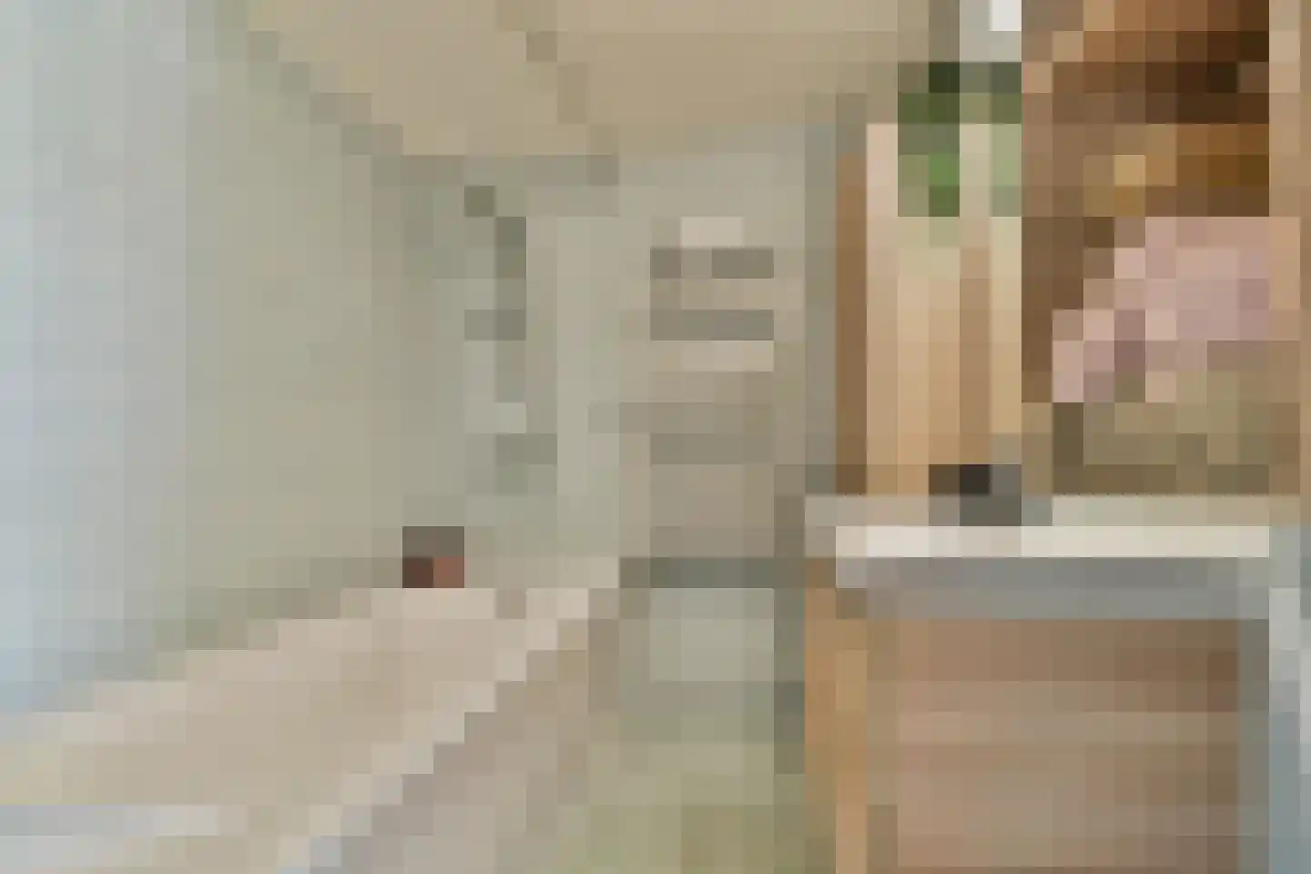 Ladogameerhof 165 Amsterdam thumbnail 18