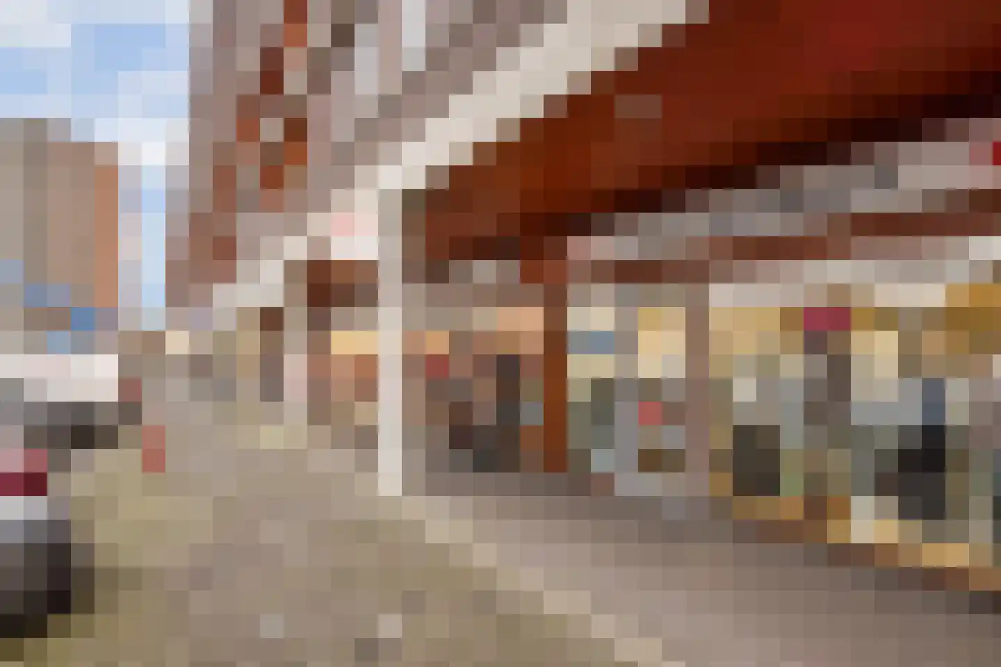 Ladogameerhof 165 Amsterdam thumbnail 25