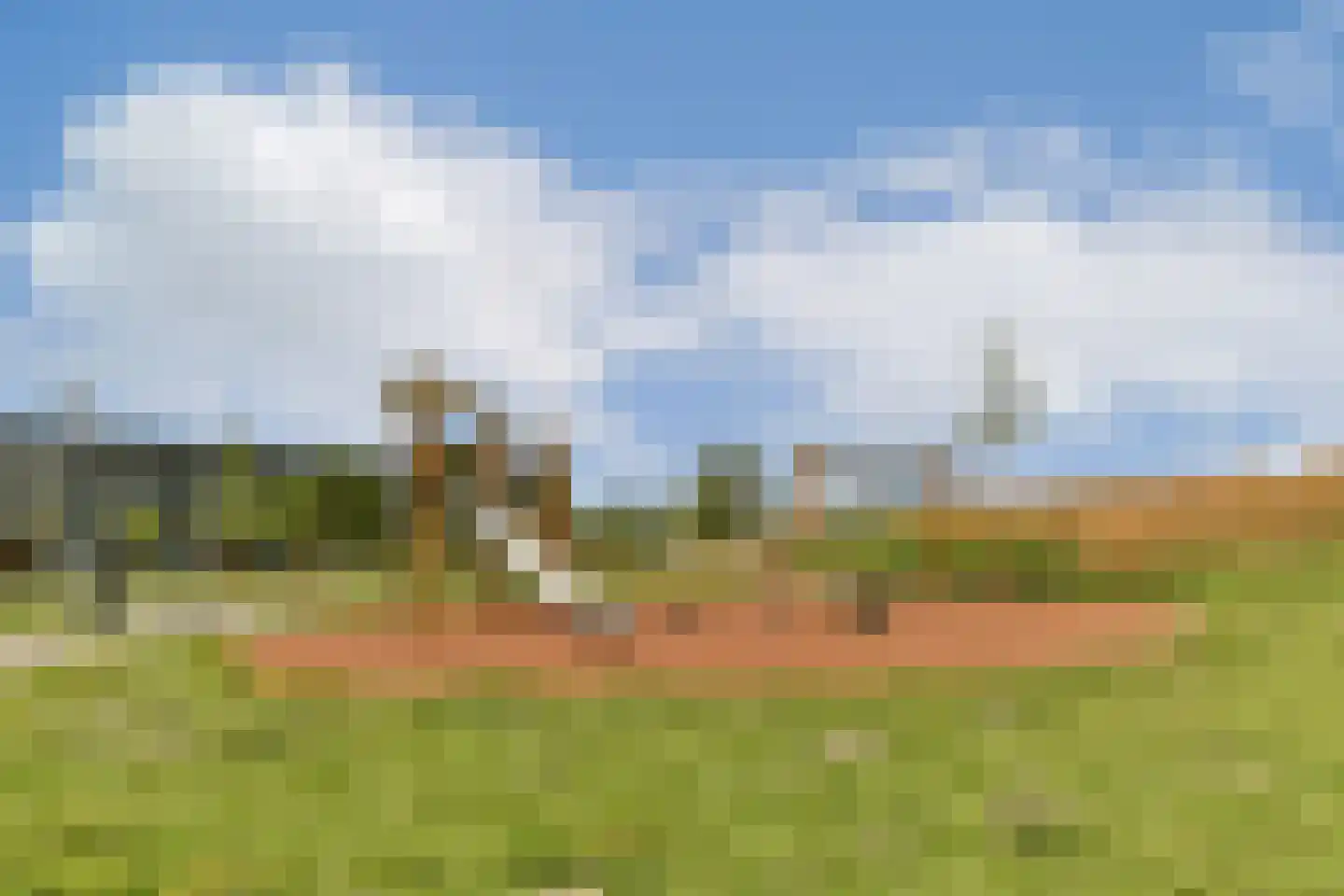 Ladogameerhof 165 Amsterdam thumbnail 26