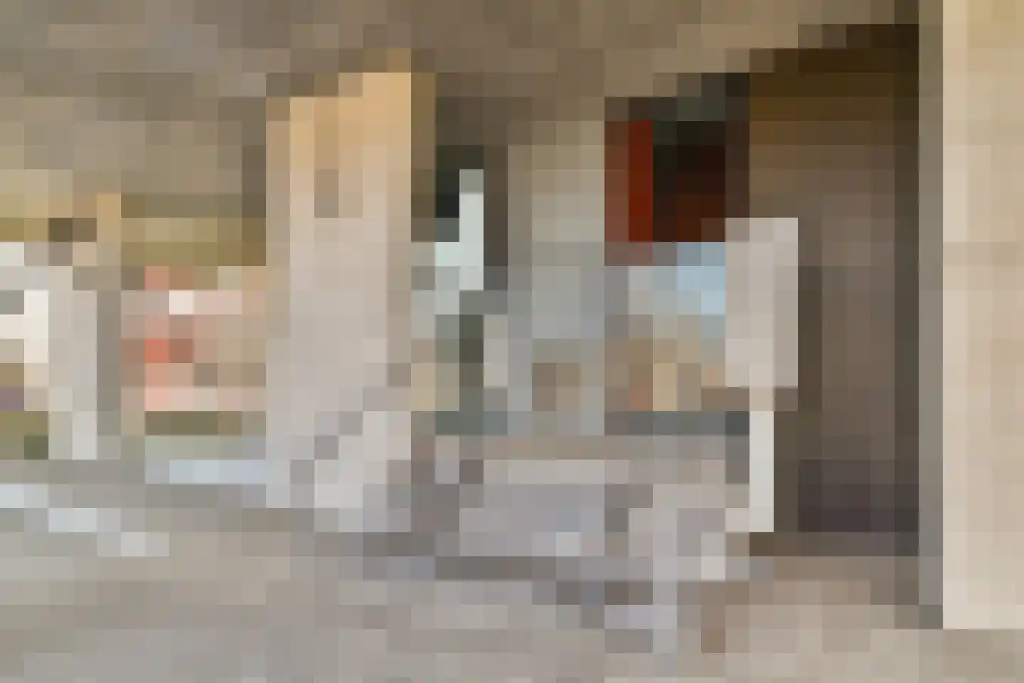 Ladogameerhof 165 Amsterdam thumbnail 7