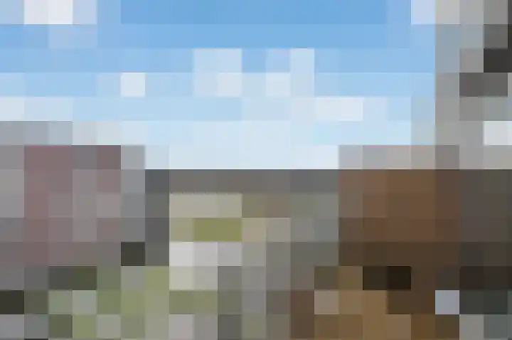 Ladogameerhof 168 Amsterdam thumbnail 10