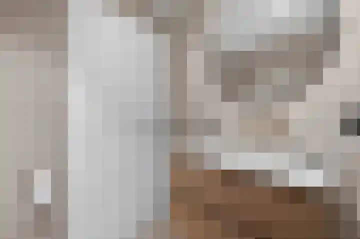 Ladogameerhof 168 Amsterdam thumbnail 23