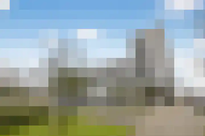 Ladogameerhof 168 Amsterdam thumbnail 24