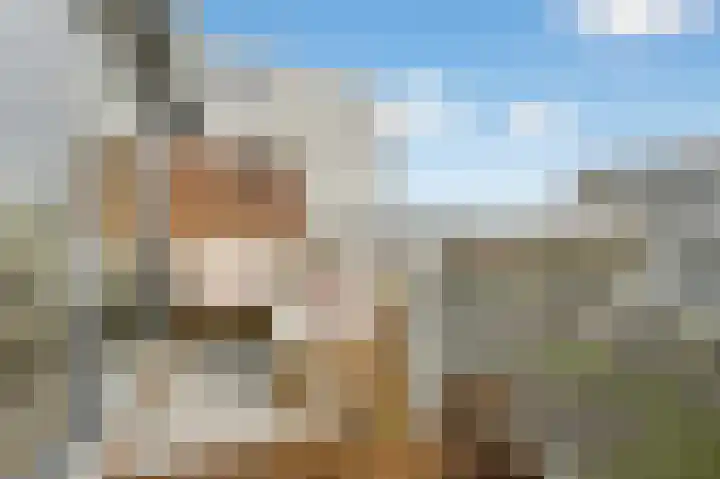 Ladogameerhof 168 Amsterdam thumbnail 8