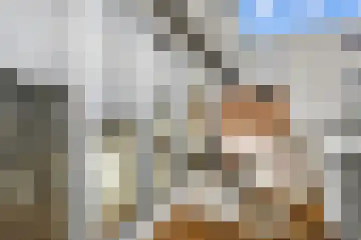 Ladogameerhof 168 Amsterdam thumbnail 9