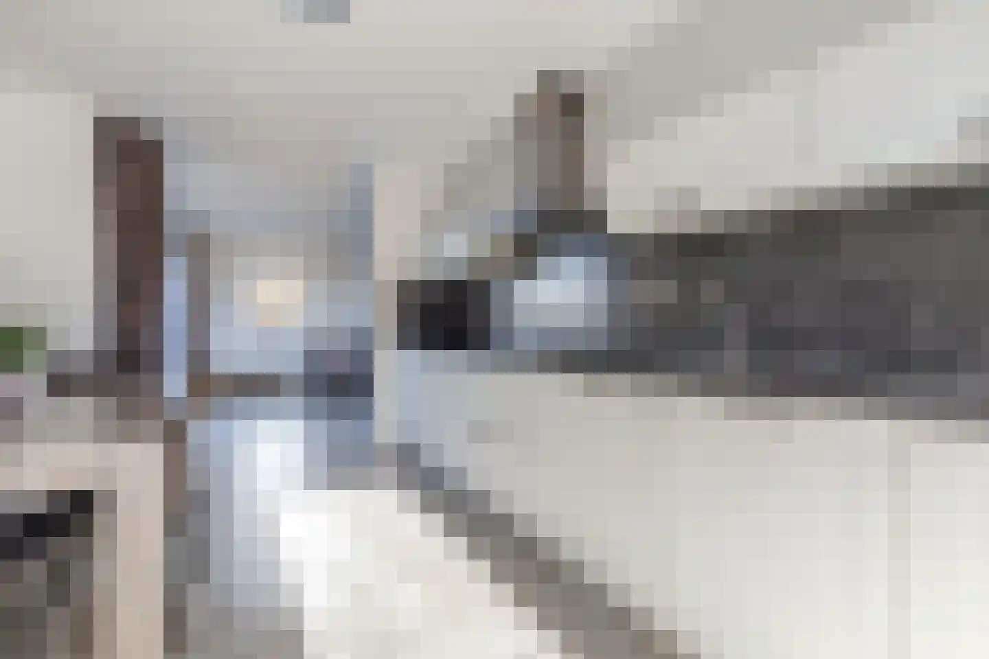 Ladogameerhof 175 Amsterdam thumbnail 13
