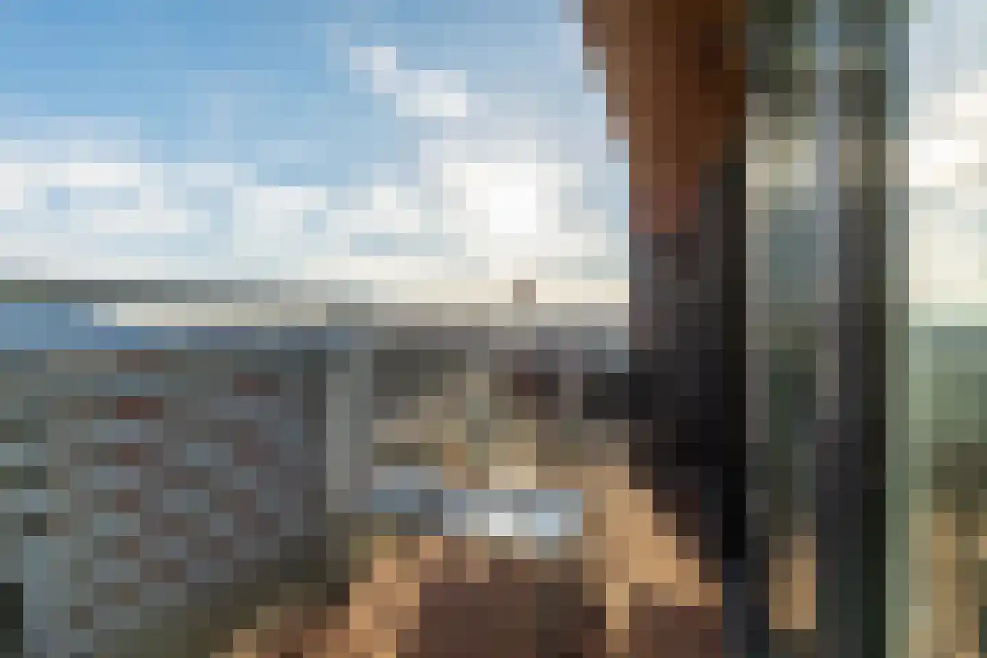 Ladogameerhof 175 Amsterdam thumbnail 30