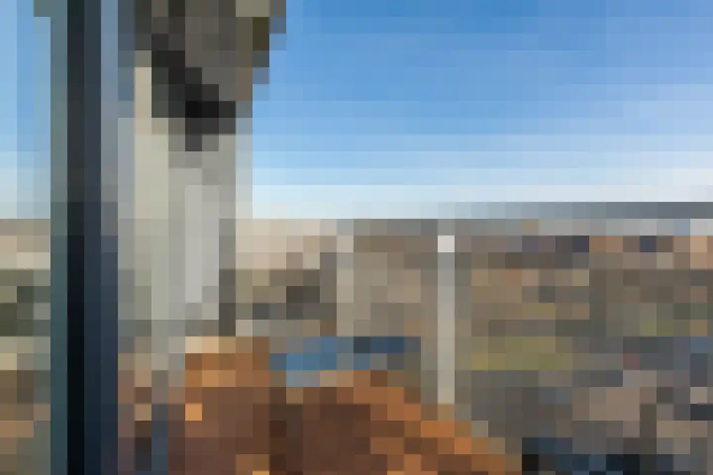 Ladogameerhof 175 Amsterdam thumbnail 31