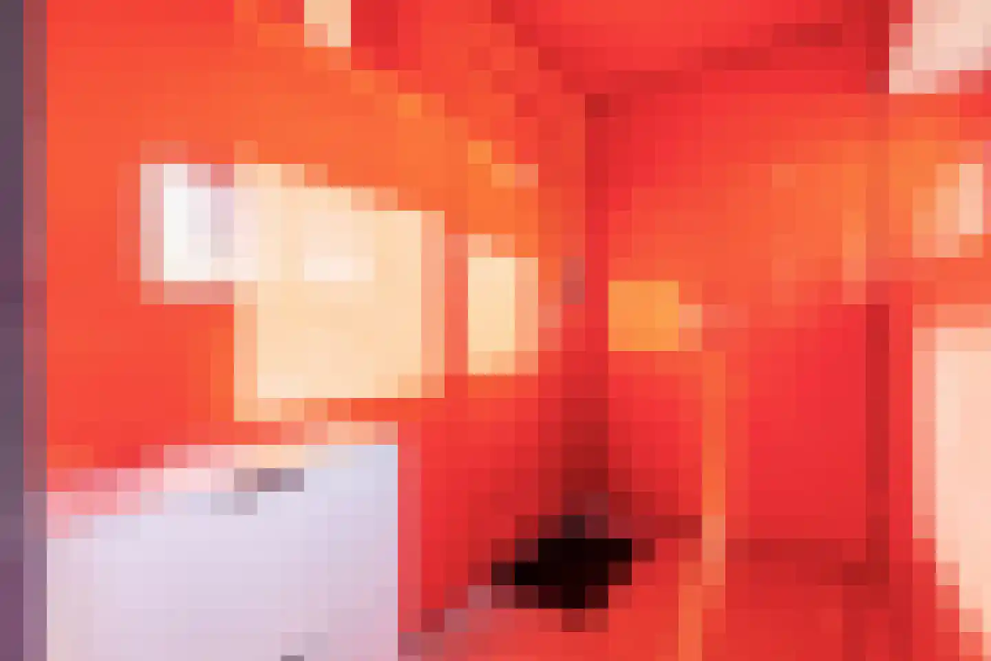 Ladogameerhof 175 Amsterdam thumbnail 34