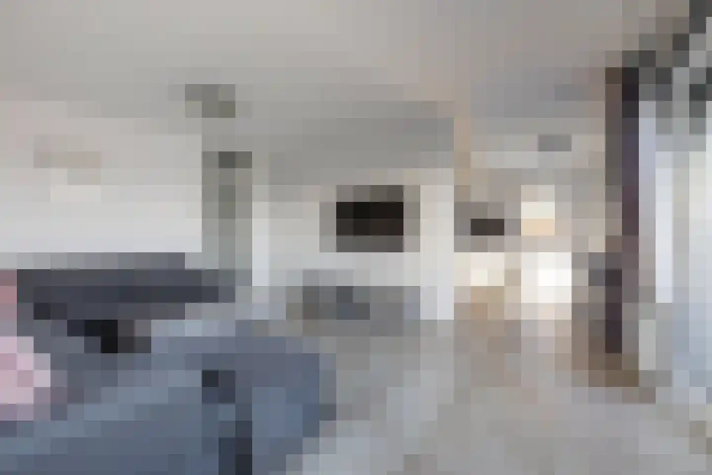 Ladogameerhof 175 Amsterdam thumbnail 6