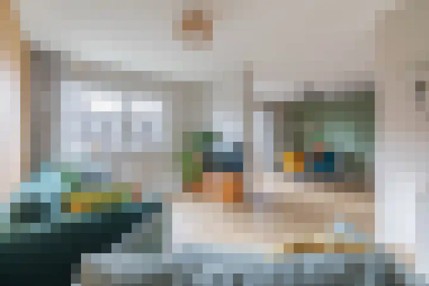 Ladogameerhof 189 Amsterdam thumbnail 13