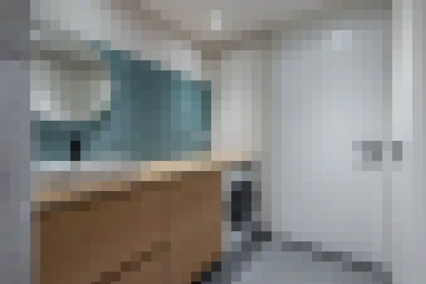 Ladogameerhof 189 Amsterdam thumbnail 17