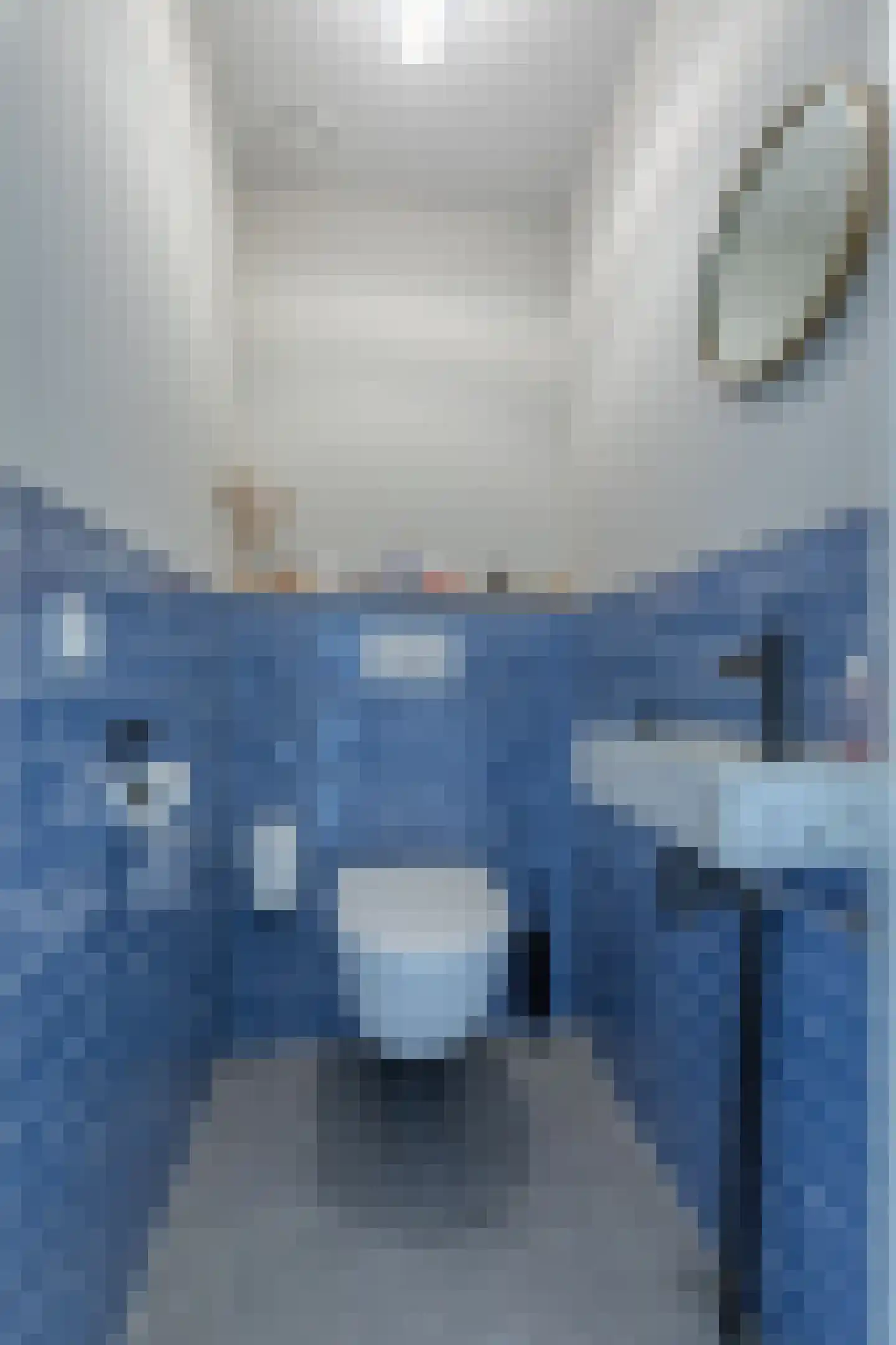 Ladogameerhof 189 Amsterdam thumbnail 19