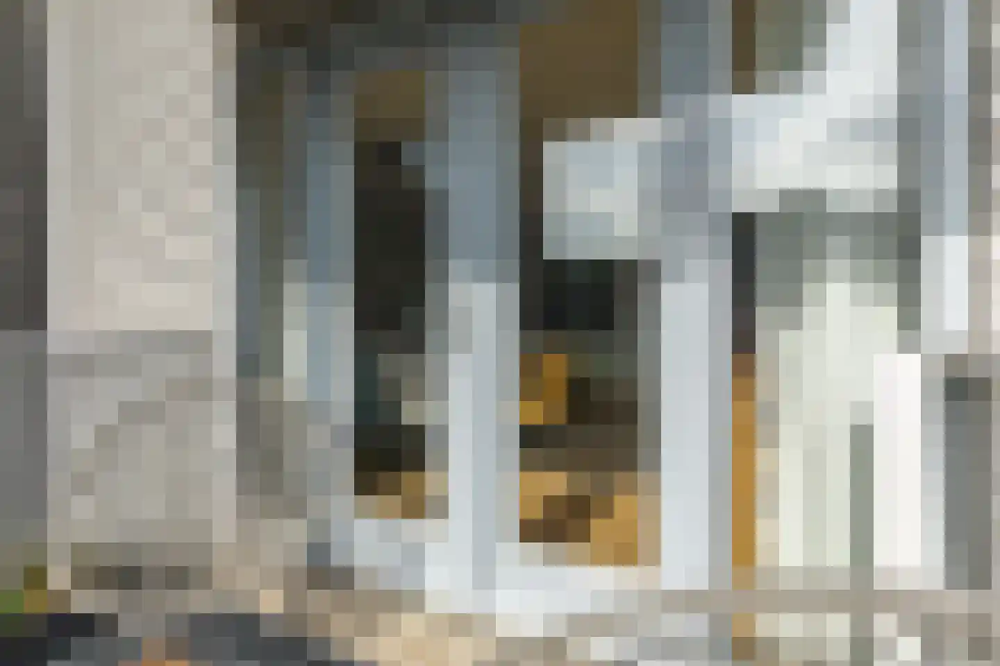 Ladogameerhof 189 Amsterdam thumbnail 19