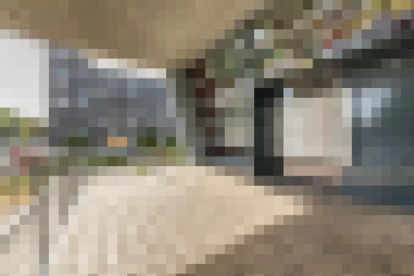 Ladogameerhof 189 Amsterdam thumbnail 28