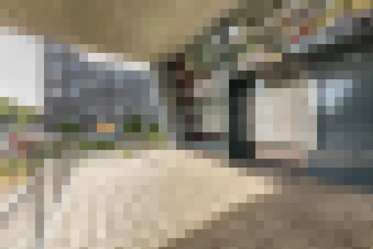Ladogameerhof 189 Amsterdam thumbnail 40