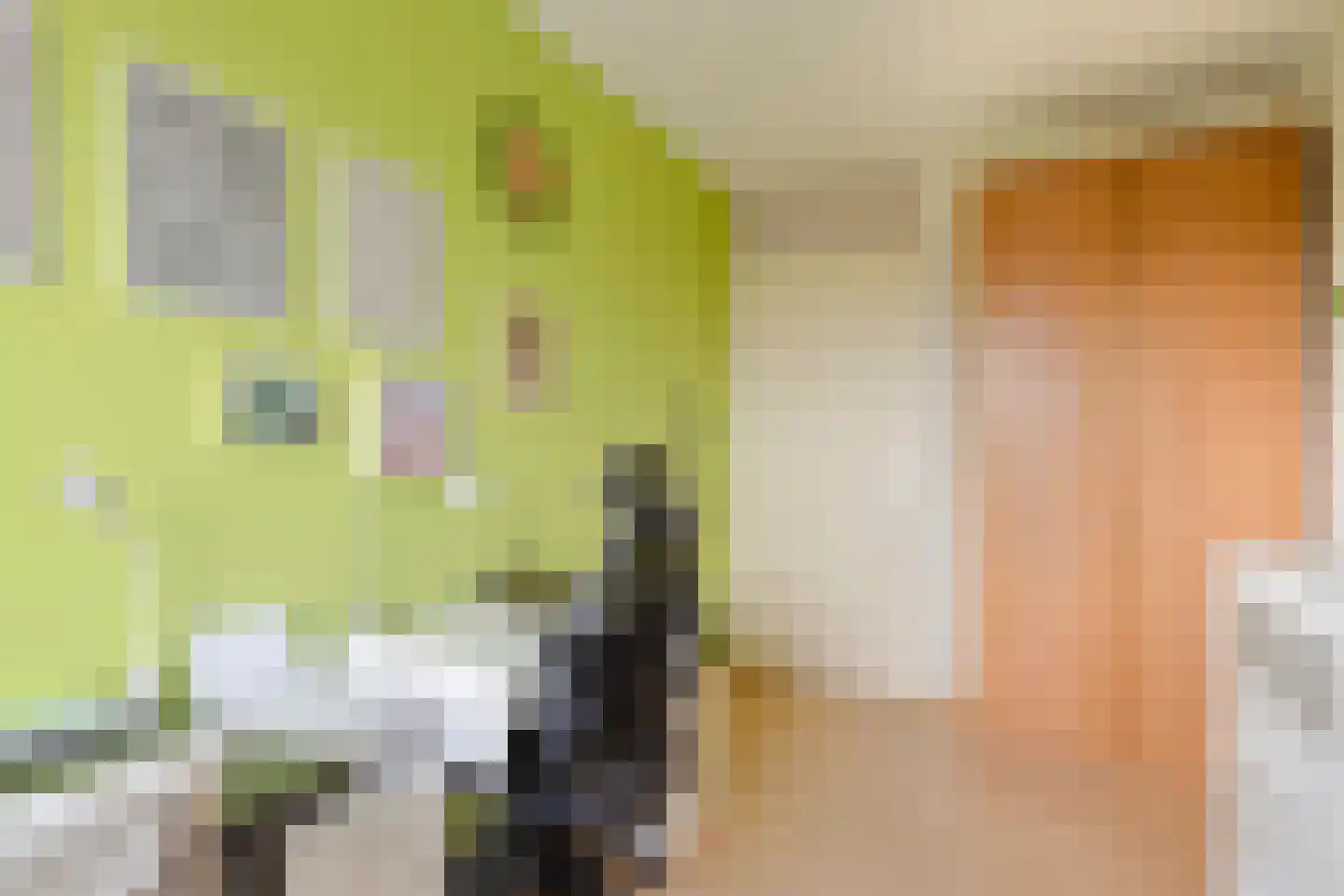 Ladogameerhof 21 Amsterdam thumbnail 20