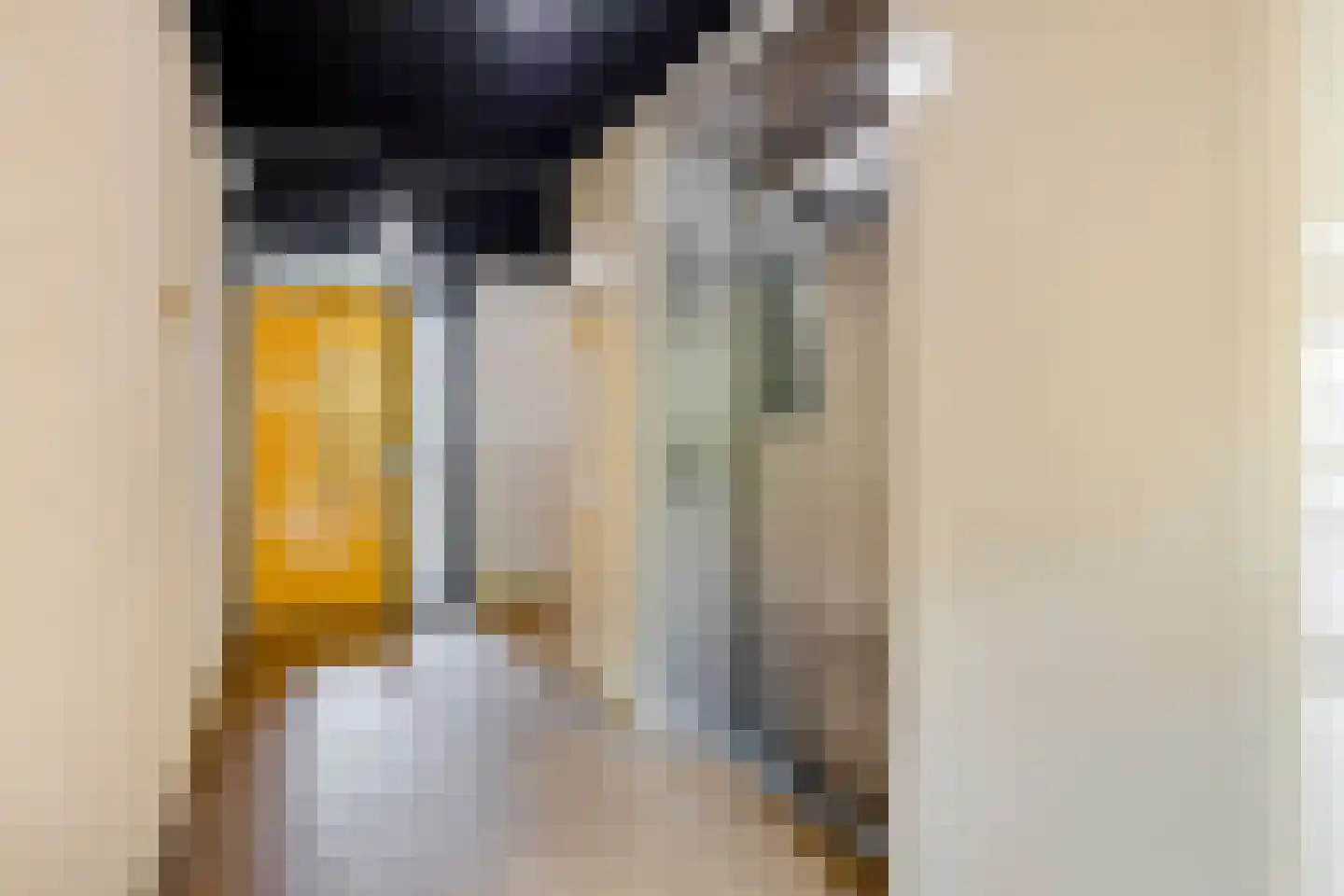 Ladogameerhof 21 Amsterdam thumbnail 23