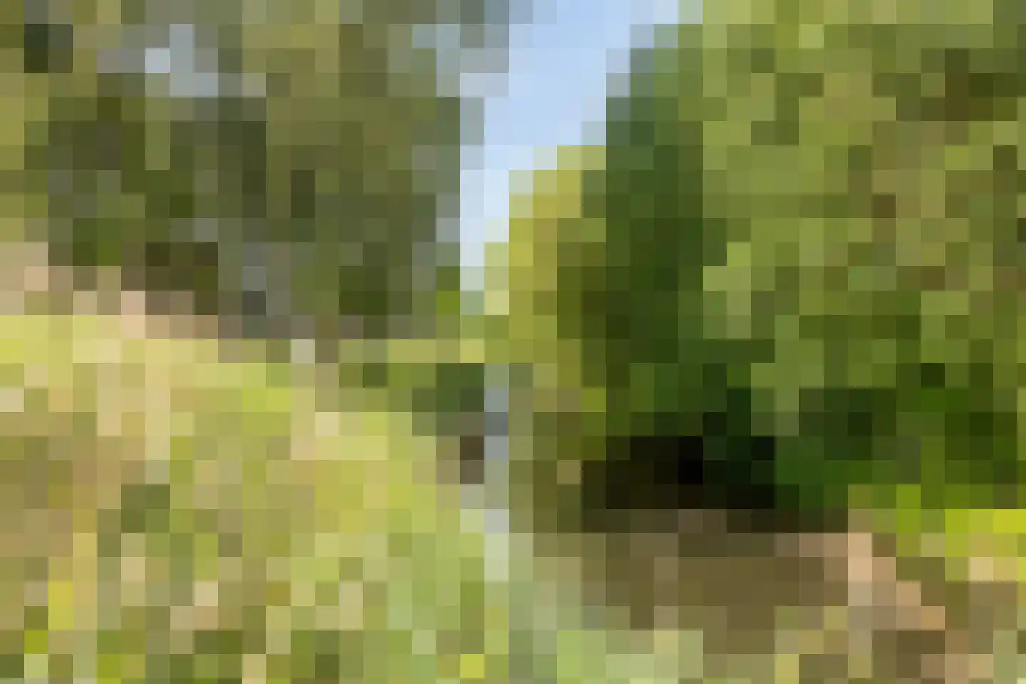Ladogameerhof 21 Amsterdam thumbnail 26