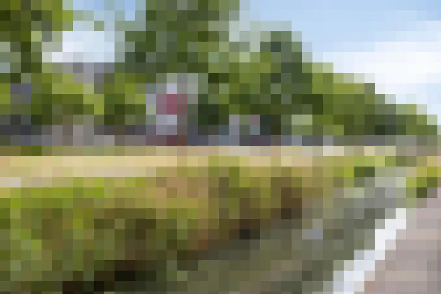 Ladogameerhof 21 Amsterdam thumbnail 29