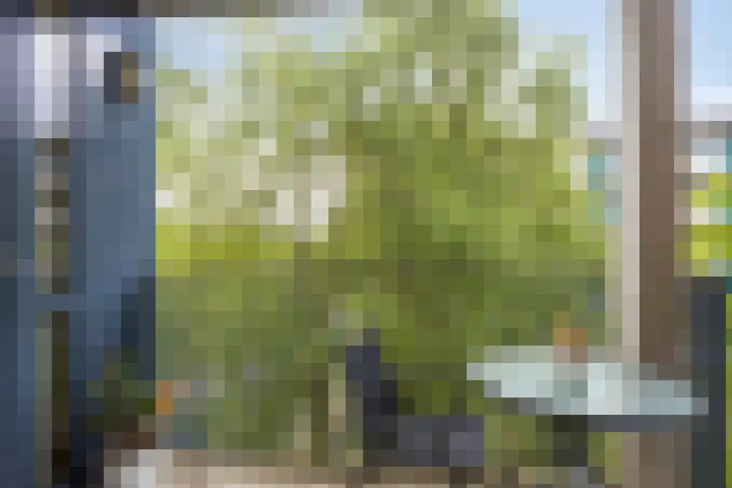 Ladogameerhof 21 Amsterdam thumbnail 4