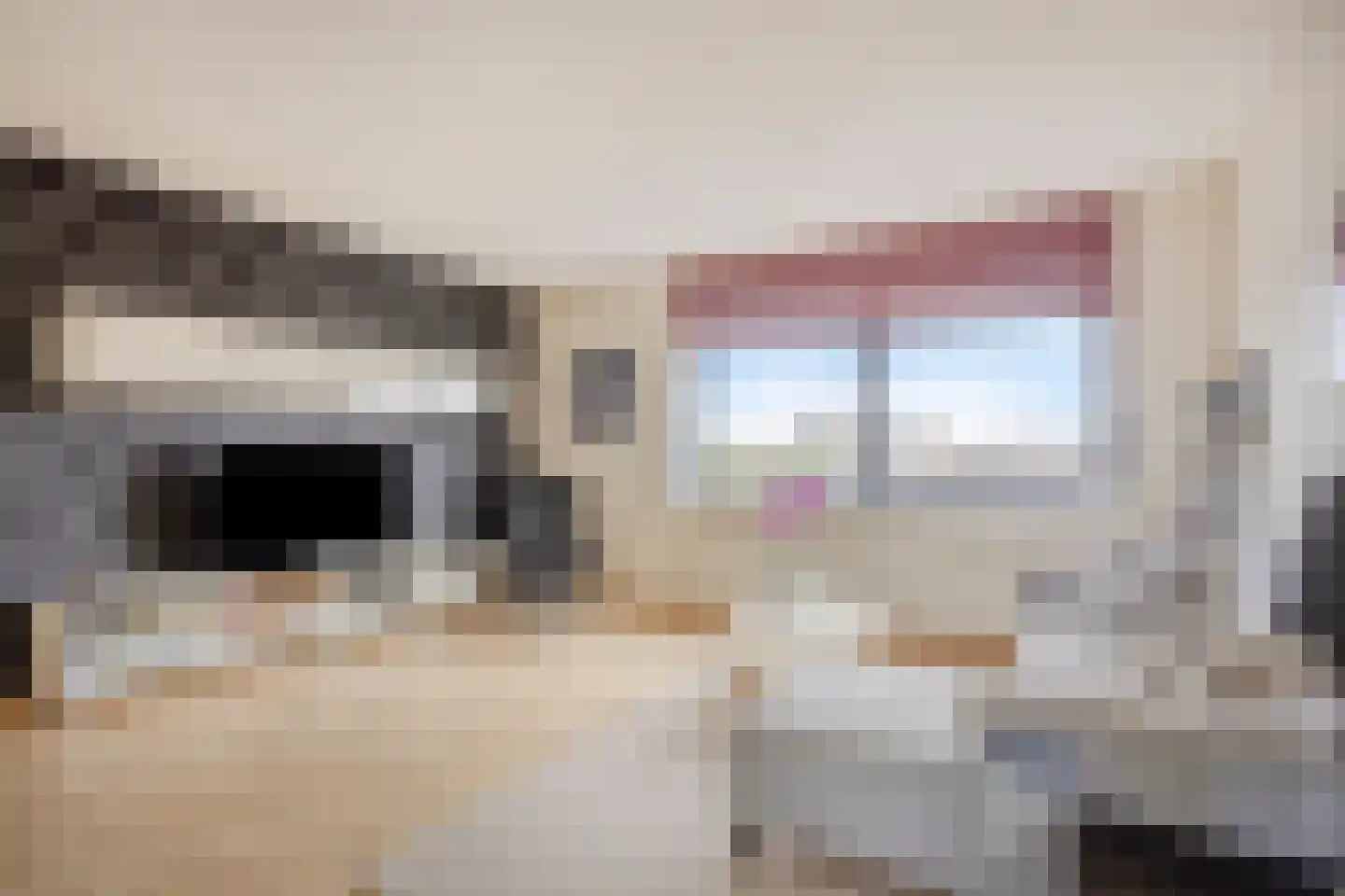 Ladogameerhof 21 Amsterdam thumbnail 8
