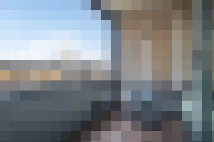 Ladogameerhof 23 Amsterdam thumbnail 17