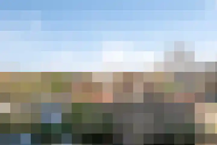 Ladogameerhof 23 Amsterdam thumbnail 18