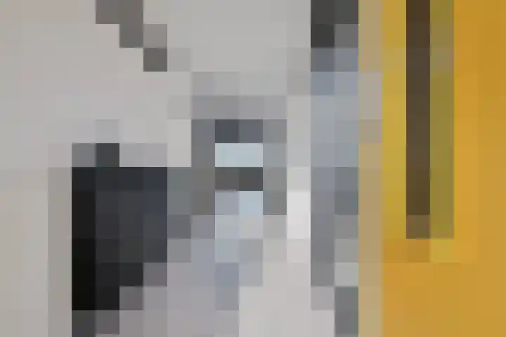 Ladogameerhof 23 Amsterdam thumbnail 20