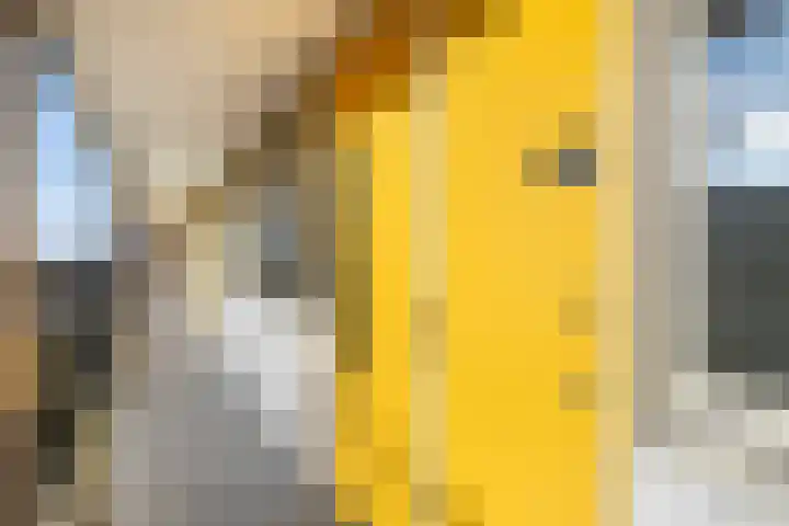 Ladogameerhof 23 Amsterdam thumbnail 21