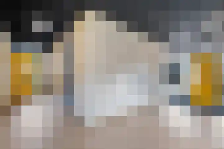 Ladogameerhof 23 Amsterdam thumbnail 23