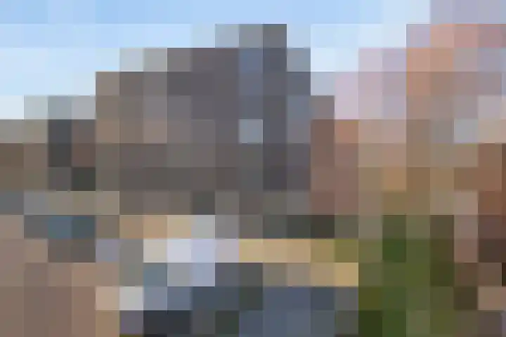 Ladogameerhof 23 Amsterdam thumbnail 25