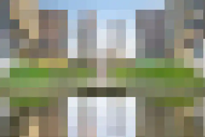 Ladogameerhof 23 Amsterdam thumbnail 27
