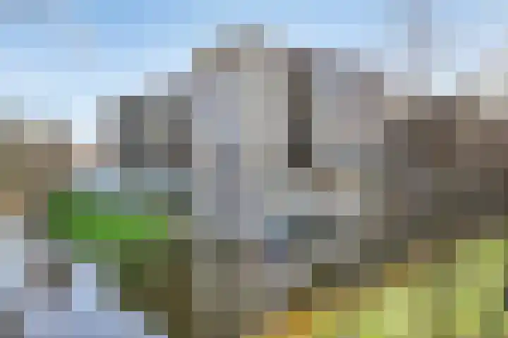 Ladogameerhof 23 Amsterdam thumbnail 30