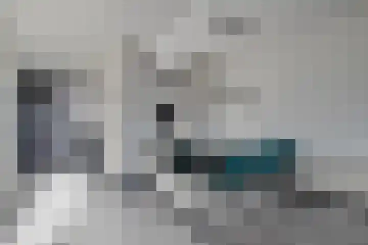 Ladogameerhof 23 Amsterdam thumbnail 5