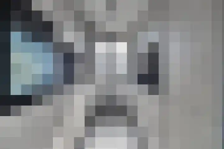 Ladogameerhof 23 Amsterdam thumbnail 6