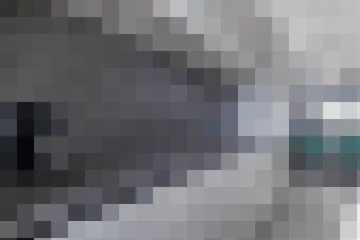 Ladogameerhof 23 Amsterdam thumbnail 8