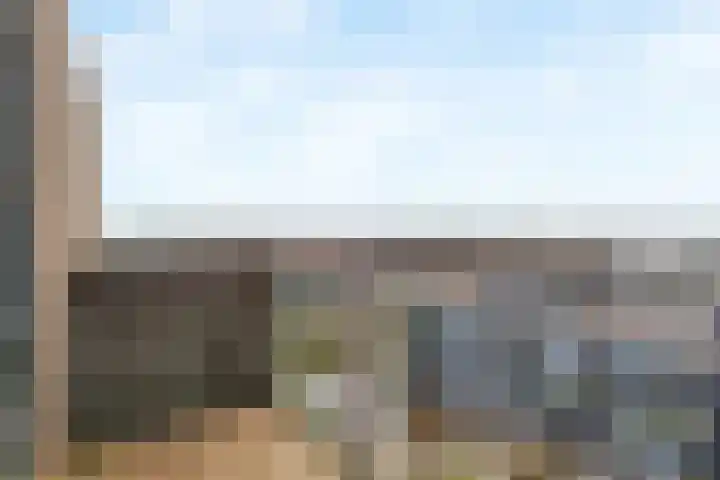 Ladogameerhof 272 Amsterdam thumbnail 17
