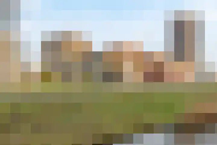 Ladogameerhof 272 Amsterdam thumbnail 27