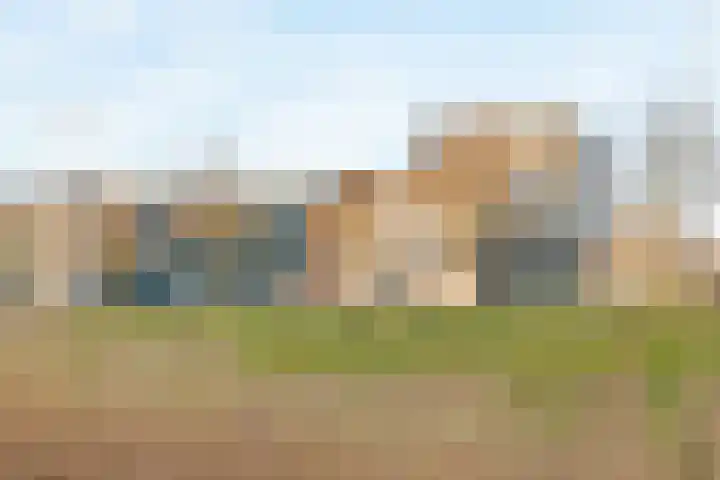 Ladogameerhof 272 Amsterdam thumbnail 29