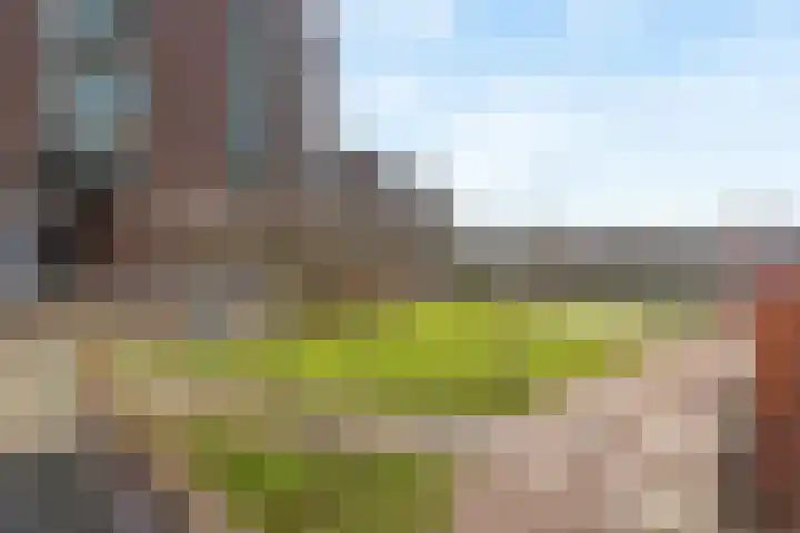 Ladogameerhof 272 Amsterdam thumbnail 4