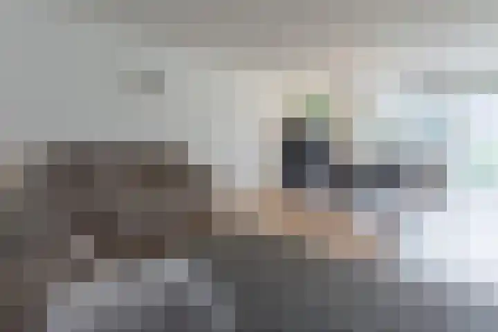 Ladogameerhof 276 Amsterdam thumbnail 10