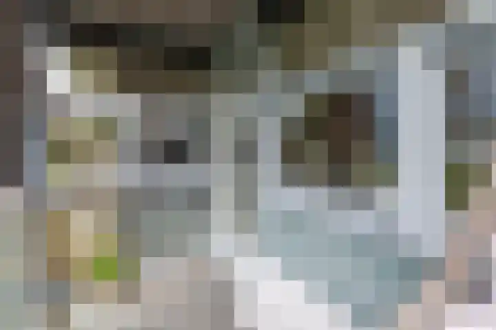 Ladogameerhof 276 Amsterdam thumbnail 14