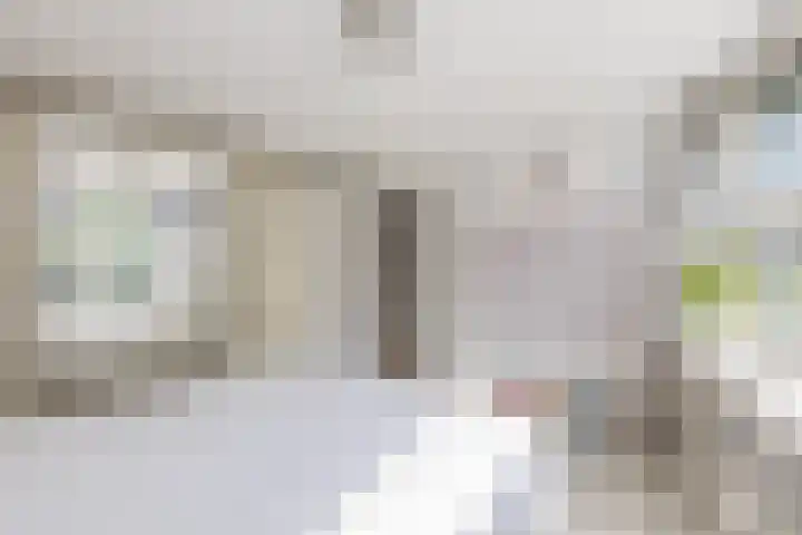 Ladogameerhof 276 Amsterdam thumbnail 18