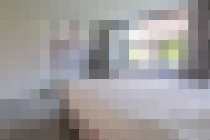 Ladogameerhof 276 Amsterdam thumbnail 19