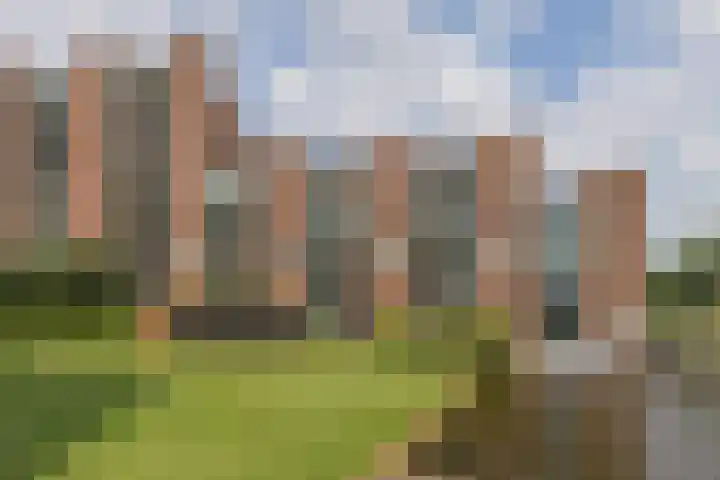 Ladogameerhof 276 Amsterdam thumbnail 27