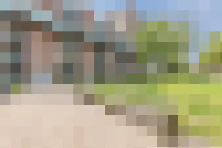 Ladogameerhof 276 Amsterdam thumbnail 28